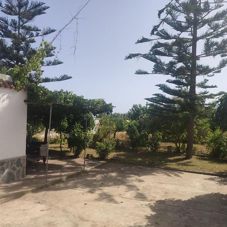 Encantadora Casa Rural Con Gran Porche San Roque  Extérieur photo